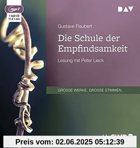 Die Schule der Empfindsamkeit: Lesung mit Peter Lieck (1 mp3-CD)