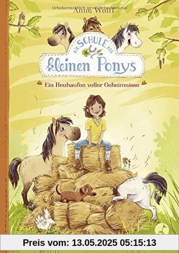 Die Schule der kleinen Ponys - Ein Heuhaufen voller Geheimnisse: Band 1