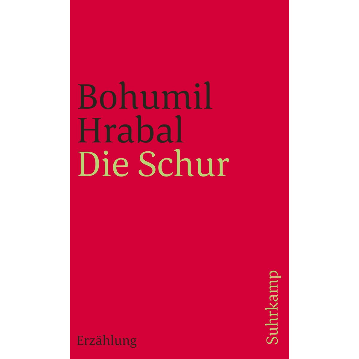 Die Schur Die Schur von Suhrkamp Verlag AG