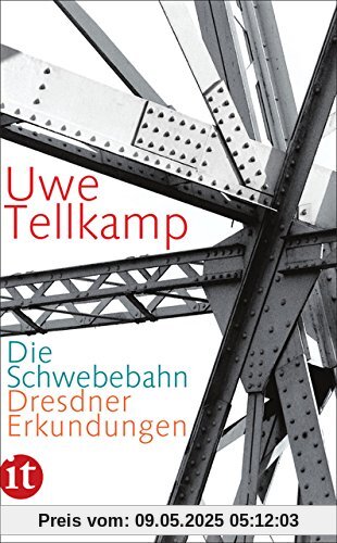 Die Schwebebahn: Dresdner Erkundungen (insel taschenbuch)