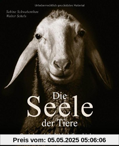 Die Seele der Tiere: Gesichter . Gefühle . Geschichten