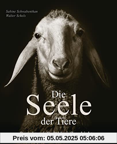 Die Seele der Tiere. Gesichter. Gefühle. Geschichten: 70 beeindruckende Tierporträts und berührende Charakterbeschreibungen aus Mythen, Sagen, Märchen und Volksweisheiten