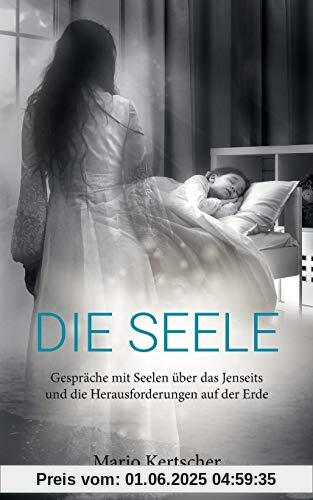 Die Seele: Gespräche mit Seelen über das Jenseits und die Herausforderungen auf der Erde