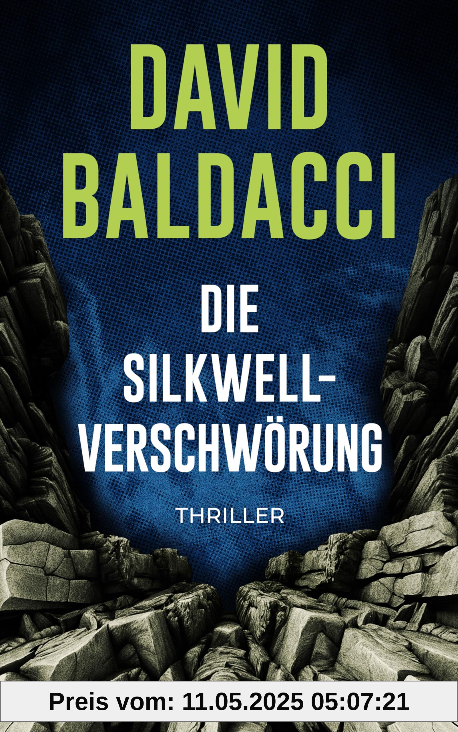 Die Silkwell-Verschwörung: Thriller. Ein Mord an einer CIA-Agentin. Amerikas schmutzigste Geheimnisse. Ein neuer Fall für Travis Devine (Die Travis-Devine-Serie, Band 2)