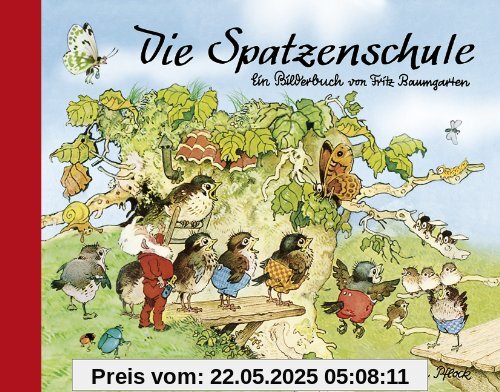 Die Spatzenschule: Ein Bilderbuch von Fritz Baumgarten