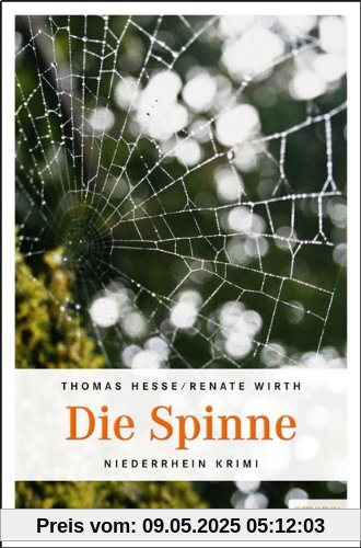 Die Spinne