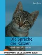 Die Sprache der Katzen: Mimik, Laute, Körpersignale