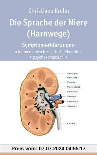 Die Sprache der Niere (Harnwege): Symptomerklärungen