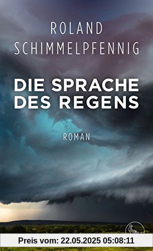 Die Sprache des Regens: Roman