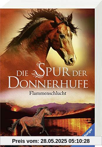 Die Spur der Donnerhufe, Band 1: Flammenschlucht Die Spur der Donnerhufe, Band 1: Flammenschlucht