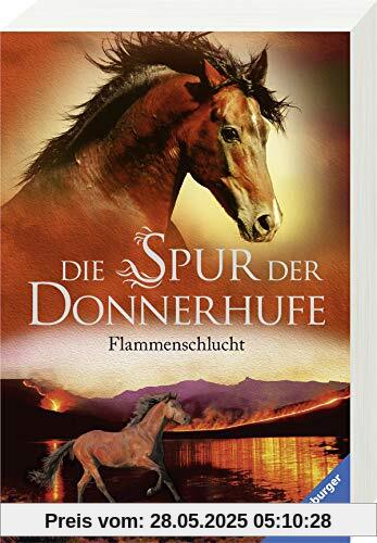 Die Spur der Donnerhufe, Band 1: Flammenschlucht