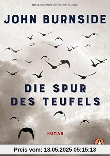 Die Spur des Teufels: Roman
