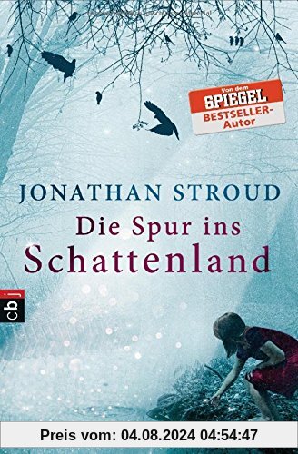 Die Spur ins Schattenland