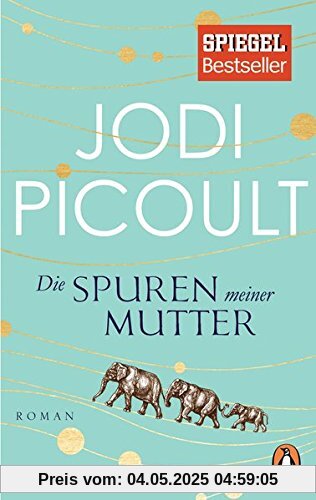 Die Spuren meiner Mutter: Roman