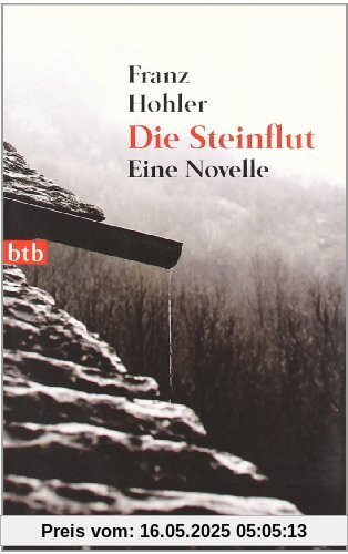 Die Steinflut: Eine Novelle