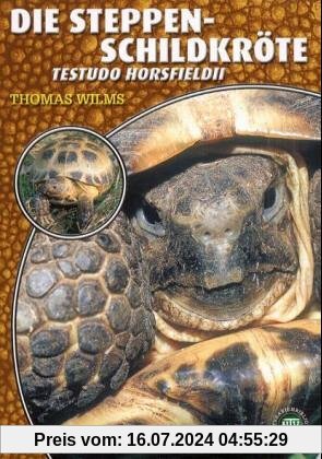 Die Steppenschildkröte: Testudo horsfieldii
