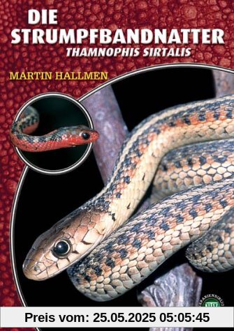Die Strumpfbandnatter: Thamnophis sirtalis