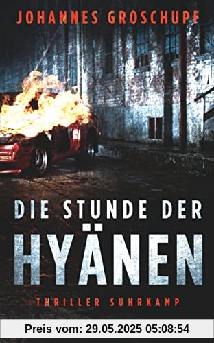 Die Stunde der Hyänen: Thriller | Ein heißer Höllentrip durch ein Berlin, wie man es nicht kennt. | Das neue Buch des Krimipreisträgers und Autors von ... und »Berlin Heat« (suhrkamp taschenbuch)