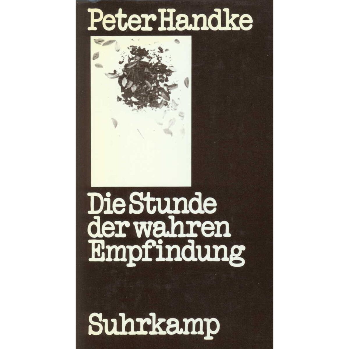 Die Stunde der wahren Empfindung Die Stunde der wahren Empfindung von Suhrkamp Verlag AG