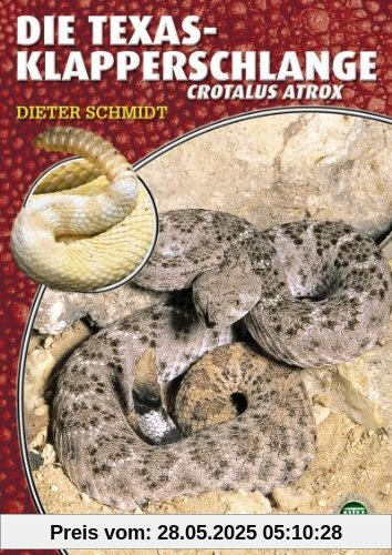 Die Texas-Klapperschlange - Crotalus atrox