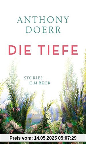 Die Tiefe: Stories