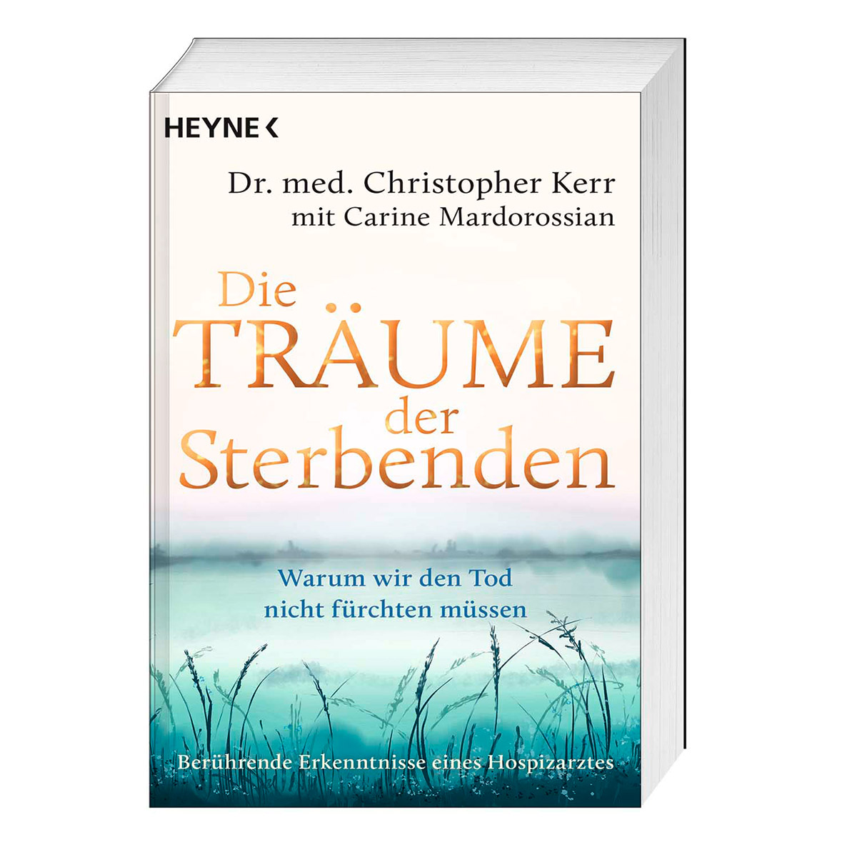 Die Träume der Sterbenden Die Träume der Sterbenden von Heyne Taschenbuch