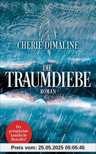 Die Traumdiebe: Roman