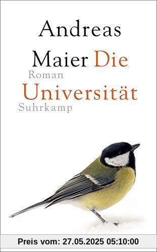 Die Universität: Roman (suhrkamp taschenbuch)