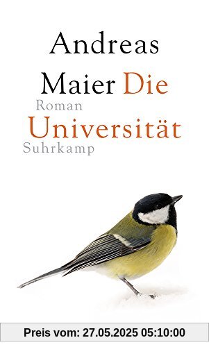 Die Universität: Roman