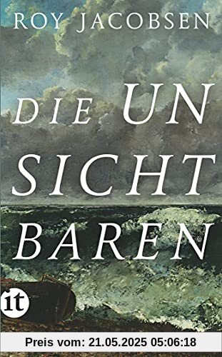 Die Unsichtbaren: Eine Insel-Saga (insel taschenbuch)