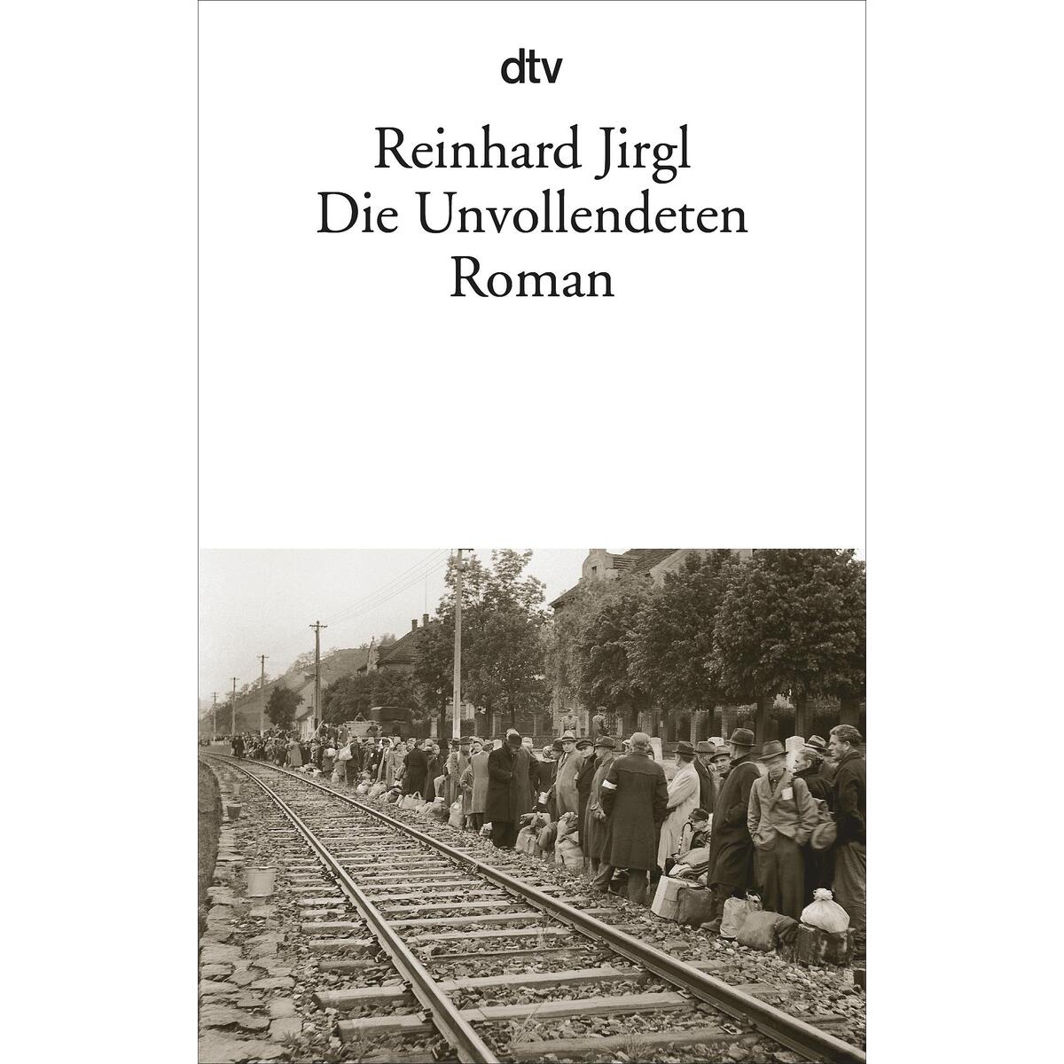 Die Unvollendeten von dtv Verlagsgesellschaft