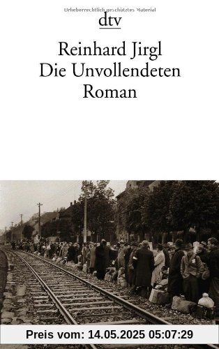 Die Unvollendeten: Roman