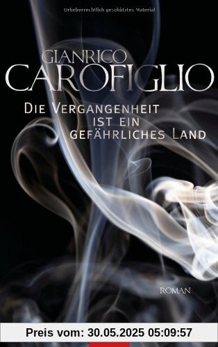 Die Vergangenheit ist ein gefährliches Land: Roman Die Vergangenheit ist ein gefährliches Land: Roman