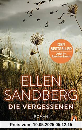 Die Vergessenen: Roman Die Vergessenen: Roman