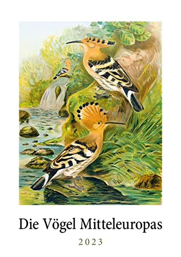 Die Vögel Mitteleuropas. Wandkalender 2023: Spektakuläre Tafeln aus Johann Friedrich Naumanns „Naturgeschichte der Vögel Mitteleuropas“ von Favoritenpresse