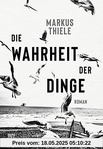 Die Wahrheit der Dinge: Roman