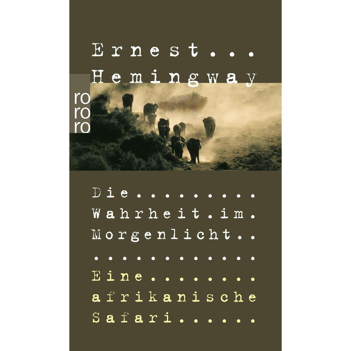 Die Wahrheit im Morgenlicht von Rowohlt Taschenbuch