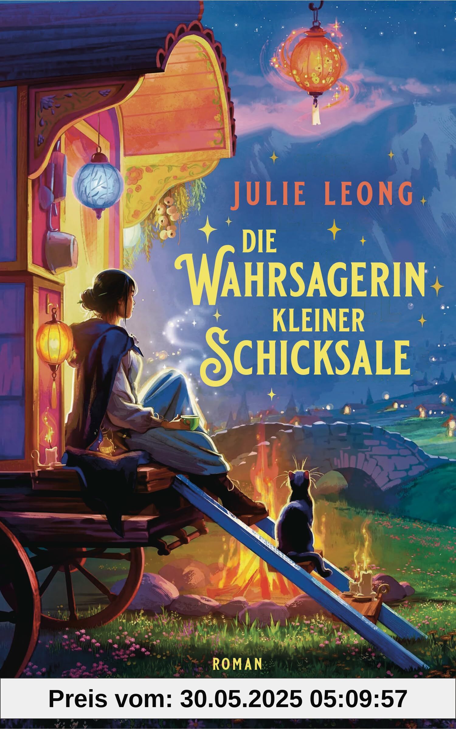 Die Wahrsagerin kleiner Schicksale: Roman