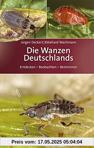 Die Wanzen Deutschlands: Entdecken – Beobachten – Bestimmen (Quelle & Meyer Bestimmungsbücher)