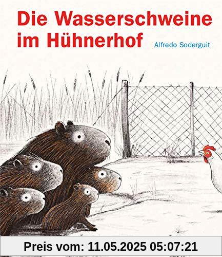 Die Wasserschweine im Hühnerhof Die Wasserschweine im Hühnerhof