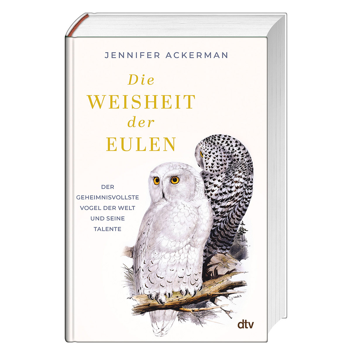 Die Weisheit der Eulen Die Weisheit der Eulen von dtv Verlagsgesellschaft