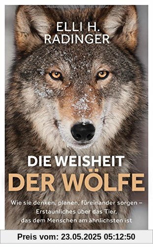 Die Weisheit der Wölfe: Wie sie denken, planen, füreinander sorgen. Erstaunliches über das Tier, das dem Menschen am ähnlichsten ist