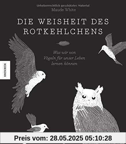 Die Weisheit des Rotkehlchens: Was wir von Vögeln für unser Leben lernen können