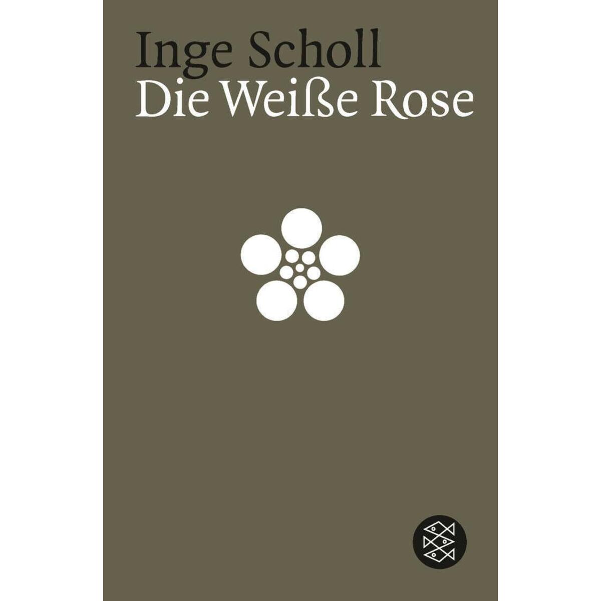 Die Weiße Rose von Fischer