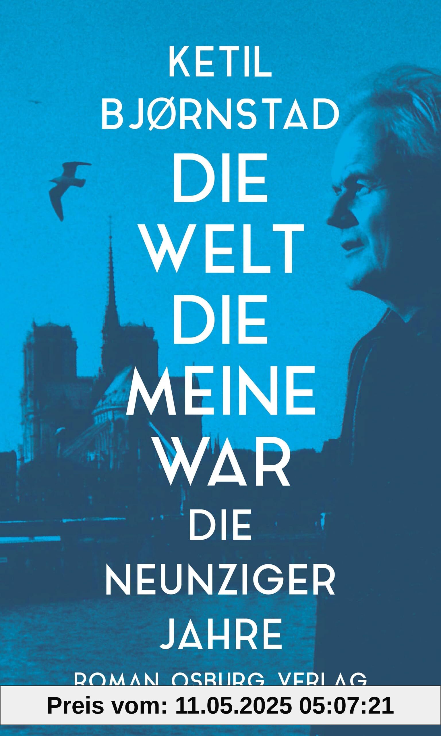 Die Welt die meine war: Die neunziger Jahre