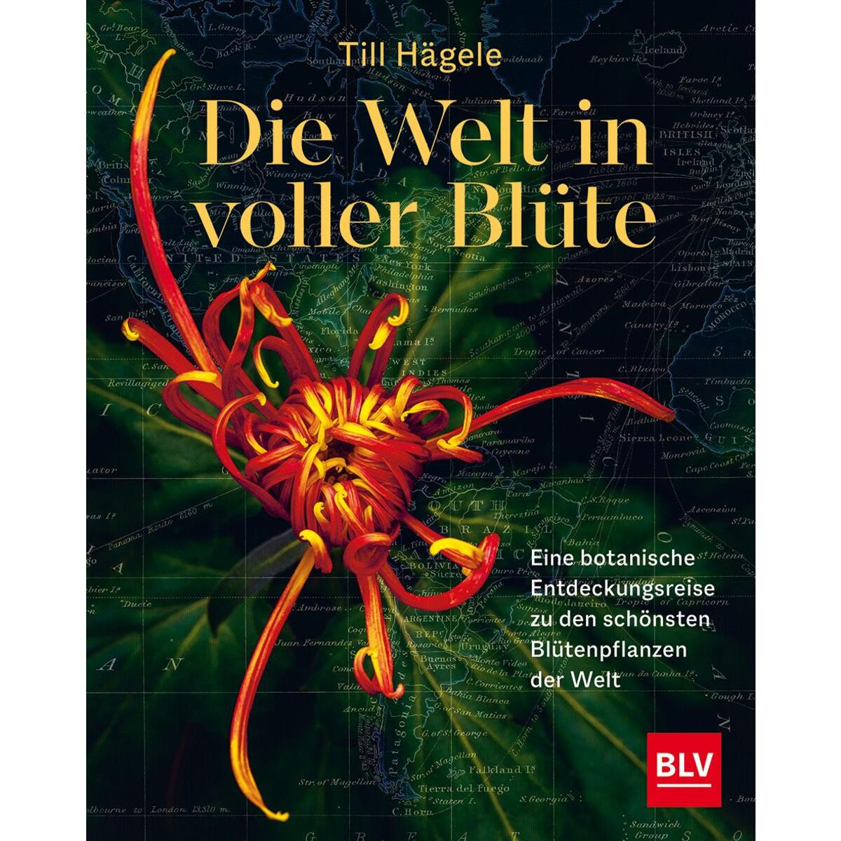 Die Welt in voller Blüte: Eine botanische Entdeckungsreise zu den schönsten Blüt... Die Welt in voller Blüte: Eine botanische Entdeckungsreise zu den schönsten Blüt... von Blv