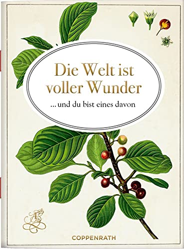 Die Welt ist voller Wunder: ... und du bist eines davon (Schöne Grüße)