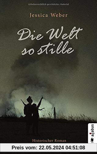Die Welt so stille: Historischer Roman aus dem Deutsch-Dänischen Krieg