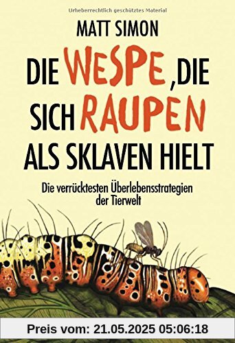 Die Wespe, die sich Raupen als Sklaven hielt: Die verrücktesten Überlebensstrategien der Tierwelt