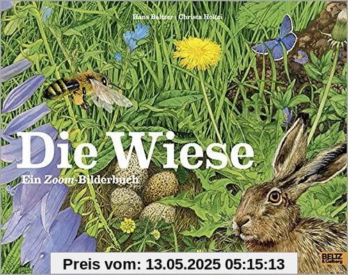 Die Wiese: Ein Zoom-Bilderbuch